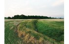 Property photo 14 - AUCTION CANCELLED - SOLD PRIOR TO AUCTION | LAND AUCTION 106.32+/- ACRES OFFERED IN 3 TRACTS IN WHITLEY COUNTY, IN