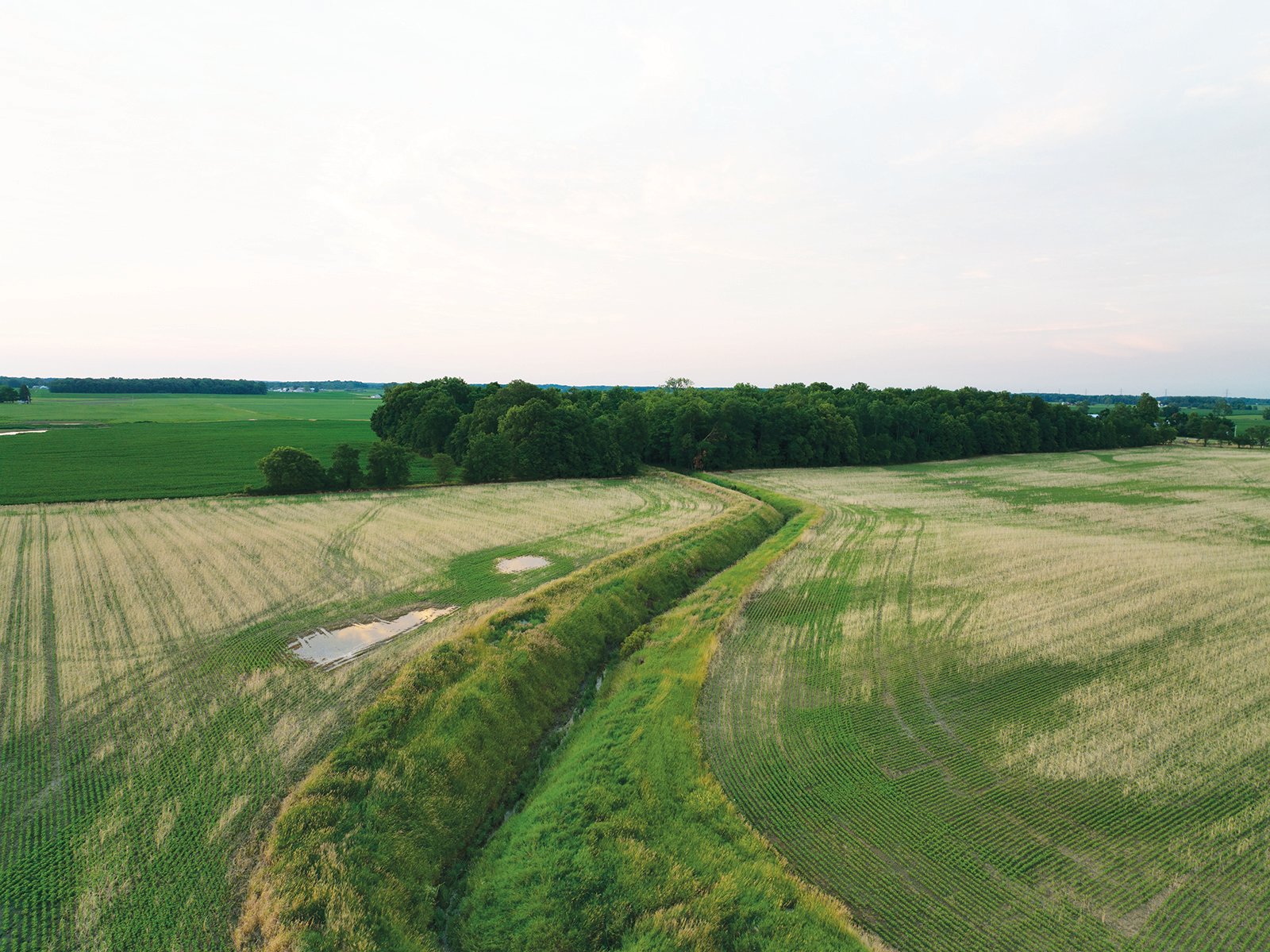 Property photo 2 - AUCTION CANCELLED - SOLD PRIOR TO AUCTION | LAND AUCTION 106.32+/- ACRES OFFERED IN 3 TRACTS IN WHITLEY COUNTY, IN