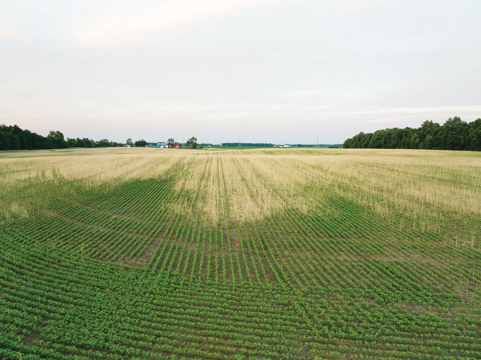 Property photo 11 - AUCTION CANCELLED - SOLD PRIOR TO AUCTION | LAND AUCTION 106.32+/- ACRES OFFERED IN 3 TRACTS IN WHITLEY COUNTY, IN