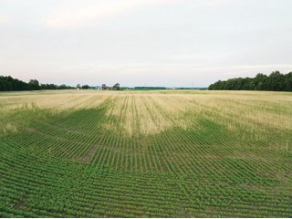 Property photo 11 - AUCTION CANCELLED - SOLD PRIOR TO AUCTION | LAND AUCTION 106.32+/- ACRES OFFERED IN 3 TRACTS IN WHITLEY COUNTY, IN
