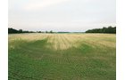 Property photo 11 - AUCTION CANCELLED - SOLD PRIOR TO AUCTION | LAND AUCTION 106.32+/- ACRES OFFERED IN 3 TRACTS IN WHITLEY COUNTY, IN
