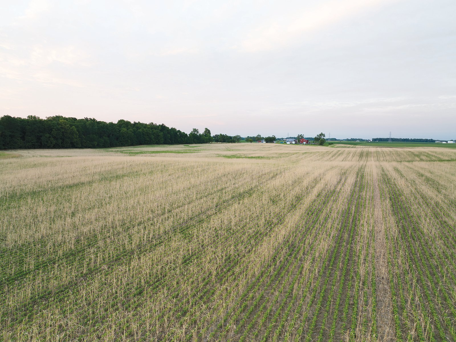 Property photo 10 - AUCTION CANCELLED - SOLD PRIOR TO AUCTION | LAND AUCTION 106.32+/- ACRES OFFERED IN 3 TRACTS IN WHITLEY COUNTY, IN