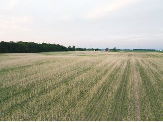 Property photo 10 - AUCTION CANCELLED - SOLD PRIOR TO AUCTION | LAND AUCTION 106.32+/- ACRES OFFERED IN 3 TRACTS IN WHITLEY COUNTY, IN