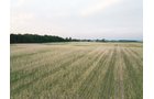 Property photo 10 - AUCTION CANCELLED - SOLD PRIOR TO AUCTION | LAND AUCTION 106.32+/- ACRES OFFERED IN 3 TRACTS IN WHITLEY COUNTY, IN