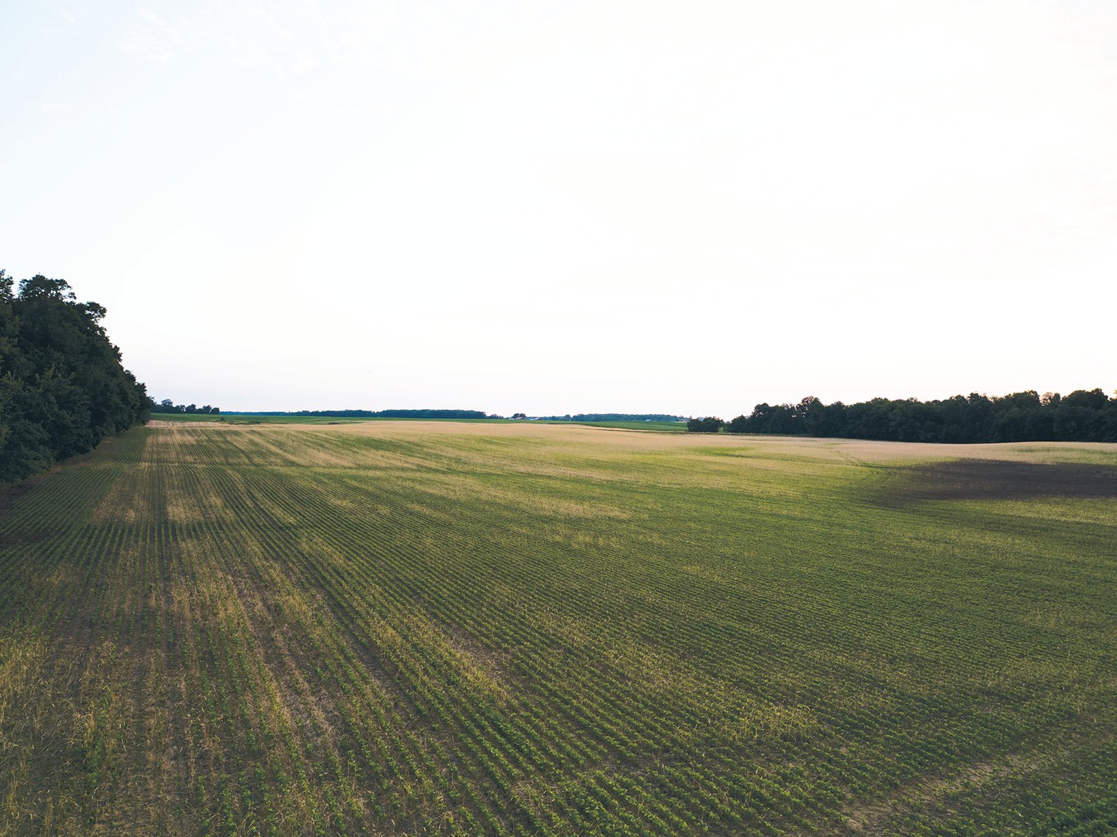 Property photo 9 - AUCTION CANCELLED - SOLD PRIOR TO AUCTION | LAND AUCTION 106.32+/- ACRES OFFERED IN 3 TRACTS IN WHITLEY COUNTY, IN