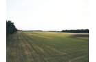 Property photo 9 - AUCTION CANCELLED - SOLD PRIOR TO AUCTION | LAND AUCTION 106.32+/- ACRES OFFERED IN 3 TRACTS IN WHITLEY COUNTY, IN