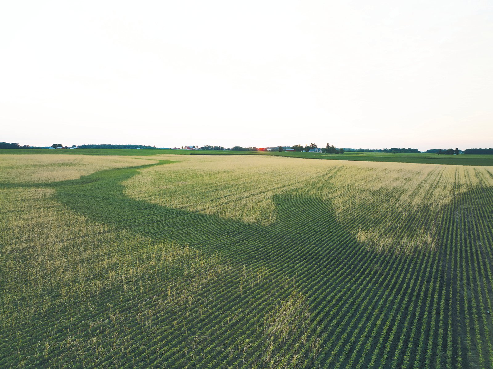 Property photo 8 - AUCTION CANCELLED - SOLD PRIOR TO AUCTION | LAND AUCTION 106.32+/- ACRES OFFERED IN 3 TRACTS IN WHITLEY COUNTY, IN