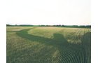 Property photo 8 - AUCTION CANCELLED - SOLD PRIOR TO AUCTION | LAND AUCTION 106.32+/- ACRES OFFERED IN 3 TRACTS IN WHITLEY COUNTY, IN