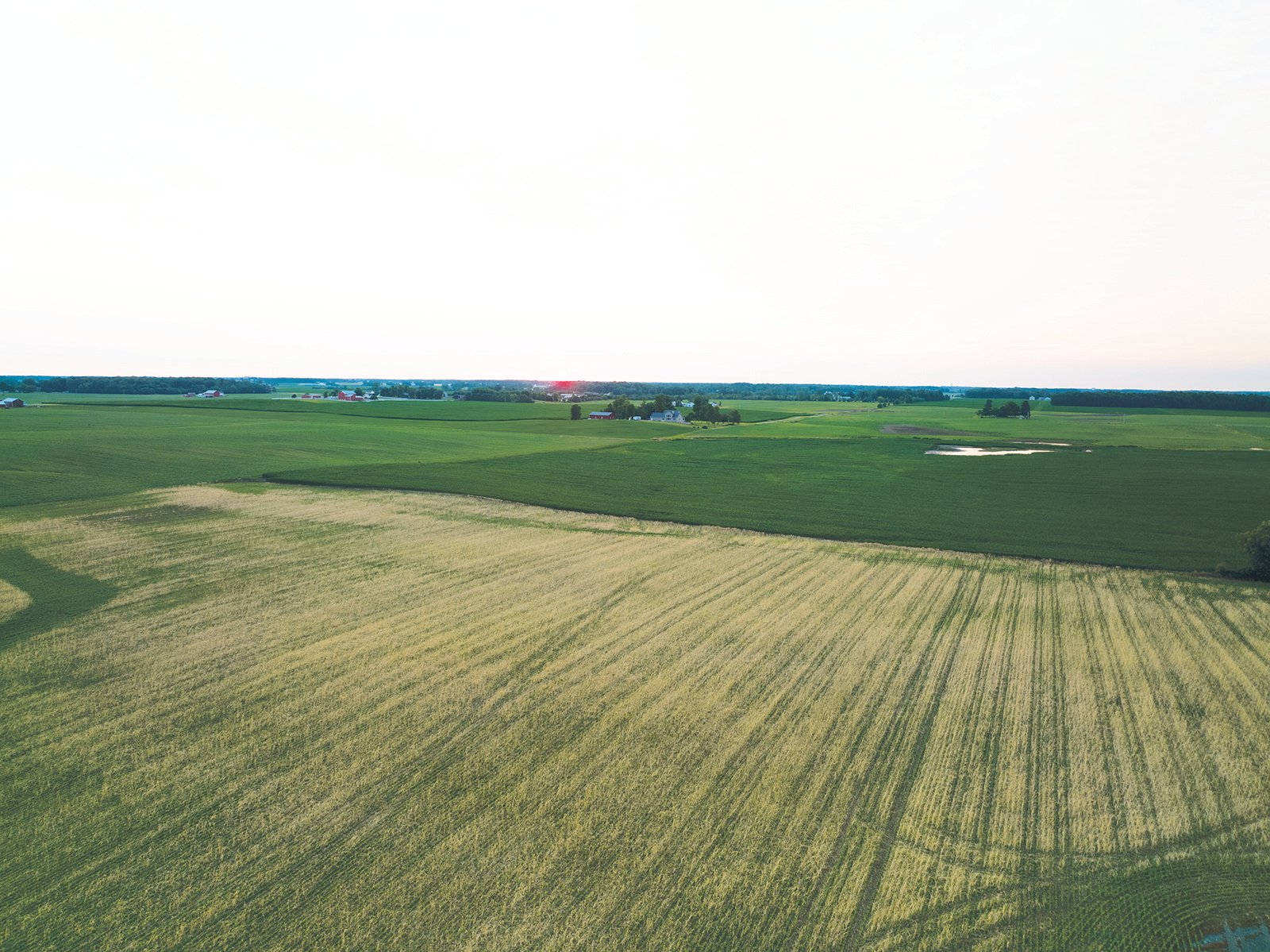 Property photo 7 - AUCTION CANCELLED - SOLD PRIOR TO AUCTION | LAND AUCTION 106.32+/- ACRES OFFERED IN 3 TRACTS IN WHITLEY COUNTY, IN