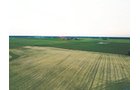 Property photo 7 - AUCTION CANCELLED - SOLD PRIOR TO AUCTION | LAND AUCTION 106.32+/- ACRES OFFERED IN 3 TRACTS IN WHITLEY COUNTY, IN