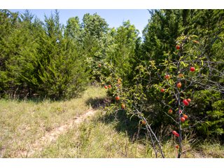 Property photo 14 - LAND AUCTION - 223.75+/- ACRES WITH MULTIPLE HOMES - OFFERED IN 5 TRACTS IN OKLAHOMA & LINCOLN COUNTIES, OKLAHOMA