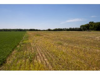 Property photo 21 - LAND AUCTION - 223.75+/- ACRES WITH MULTIPLE HOMES - OFFERED IN 5 TRACTS IN OKLAHOMA & LINCOLN COUNTIES, OKLAHOMA