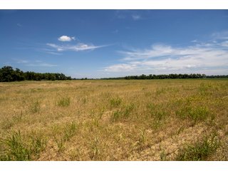 Property photo 22 - LAND AUCTION - 223.75+/- ACRES WITH MULTIPLE HOMES - OFFERED IN 5 TRACTS IN OKLAHOMA & LINCOLN COUNTIES, OKLAHOMA