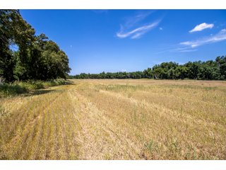 Property photo 20 - LAND AUCTION - 223.75+/- ACRES WITH MULTIPLE HOMES - OFFERED IN 5 TRACTS IN OKLAHOMA & LINCOLN COUNTIES, OKLAHOMA