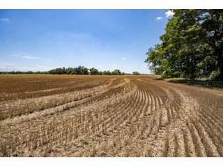 Property photo 19 - LAND AUCTION - 223.75+/- ACRES WITH MULTIPLE HOMES - OFFERED IN 5 TRACTS IN OKLAHOMA & LINCOLN COUNTIES, OKLAHOMA