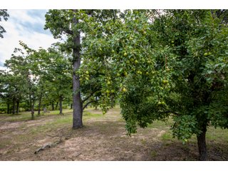 Property photo 57 - LAND AUCTION - 223.75+/- ACRES WITH MULTIPLE HOMES - OFFERED IN 5 TRACTS IN OKLAHOMA & LINCOLN COUNTIES, OKLAHOMA