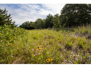 Property photo 66 - LAND AUCTION - 223.75+/- ACRES WITH MULTIPLE HOMES - OFFERED IN 5 TRACTS IN OKLAHOMA & LINCOLN COUNTIES, OKLAHOMA
