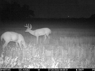 Property photo 24 - LAND AUCTION - 223.75+/- ACRES WITH MULTIPLE HOMES - OFFERED IN 5 TRACTS IN OKLAHOMA & LINCOLN COUNTIES, OKLAHOMA