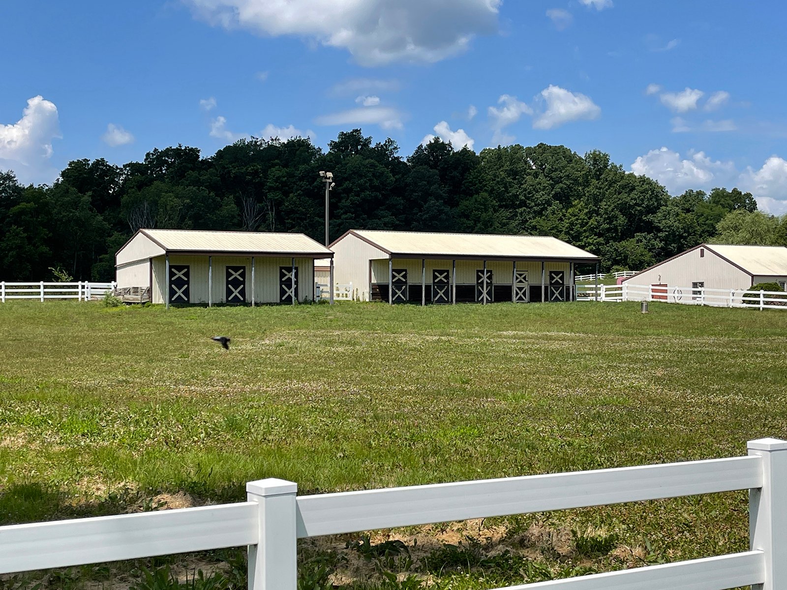 Property photo 3 - LIVE ONSITE REAL ESTATE AUCTION - 11.8+/- ACRES - NOBLE COUNTY, IN