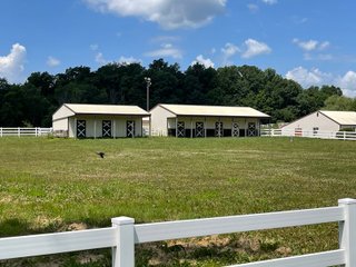 Property photo 3 - LIVE ONSITE REAL ESTATE AUCTION - 11.8+/- ACRES - NOBLE COUNTY, IN