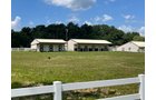 Property photo 3 - LIVE ONSITE REAL ESTATE AUCTION - 11.8+/- ACRES - NOBLE COUNTY, IN