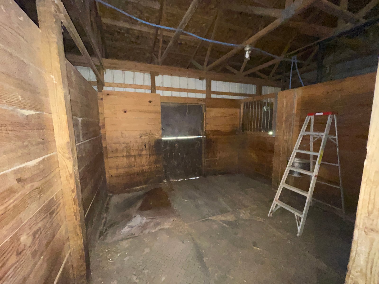 Property photo 5 - LIVE ONSITE REAL ESTATE AUCTION - 11.8+/- ACRES - NOBLE COUNTY, IN