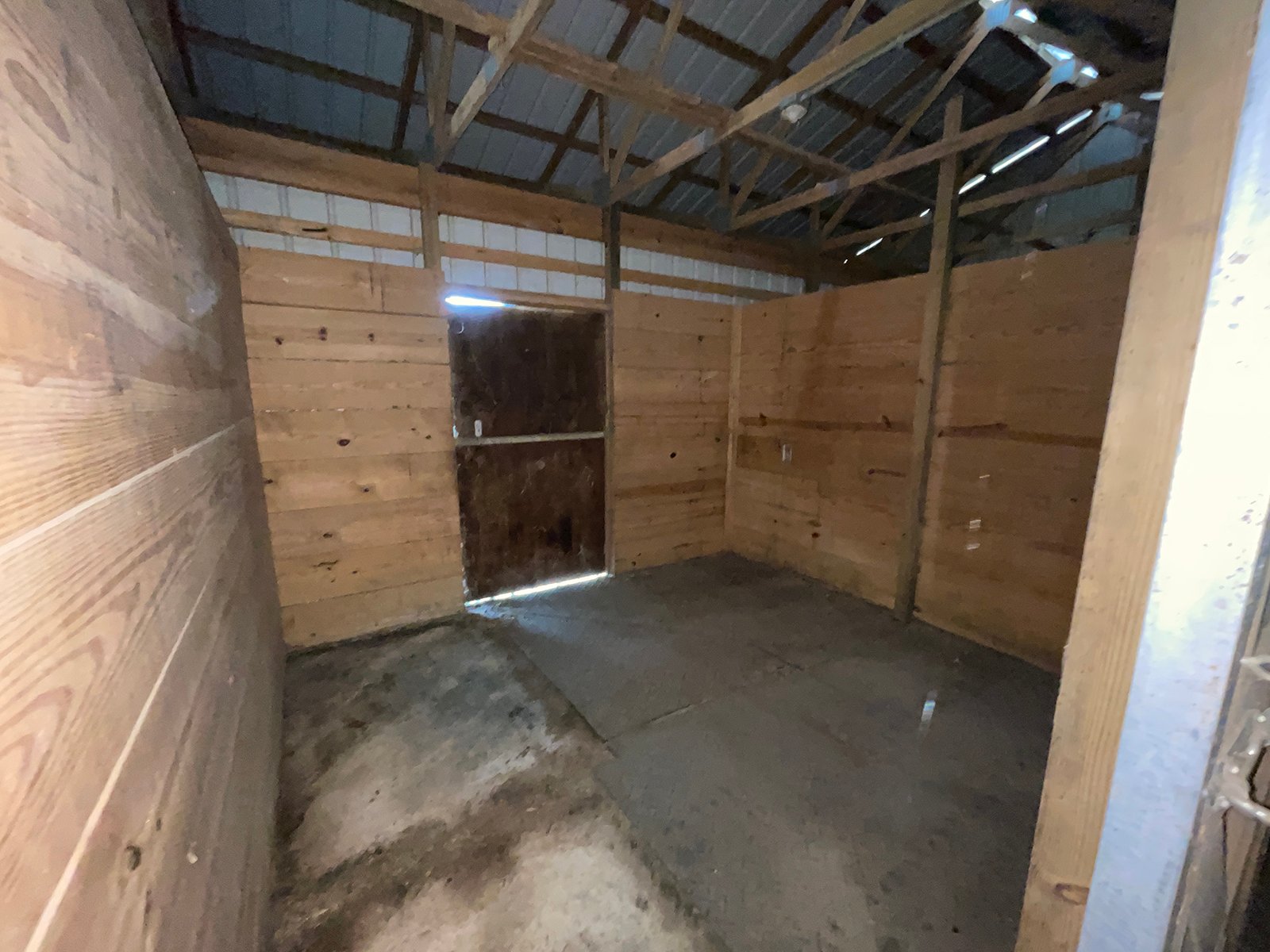Property photo 12 - LIVE ONSITE REAL ESTATE AUCTION - 11.8+/- ACRES - NOBLE COUNTY, IN