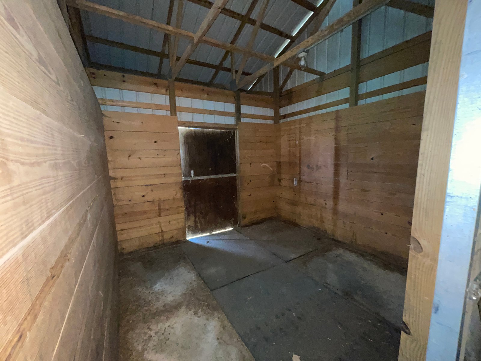 Property photo 13 - LIVE ONSITE REAL ESTATE AUCTION - 11.8+/- ACRES - NOBLE COUNTY, IN