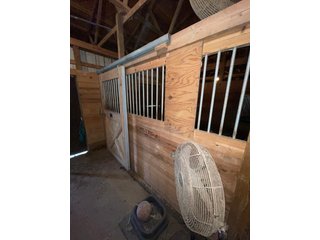 Property photo 14 - LIVE ONSITE REAL ESTATE AUCTION - 11.8+/- ACRES - NOBLE COUNTY, IN
