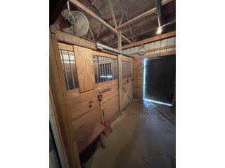 Property photo 15 - LIVE ONSITE REAL ESTATE AUCTION - 11.8+/- ACRES - NOBLE COUNTY, IN