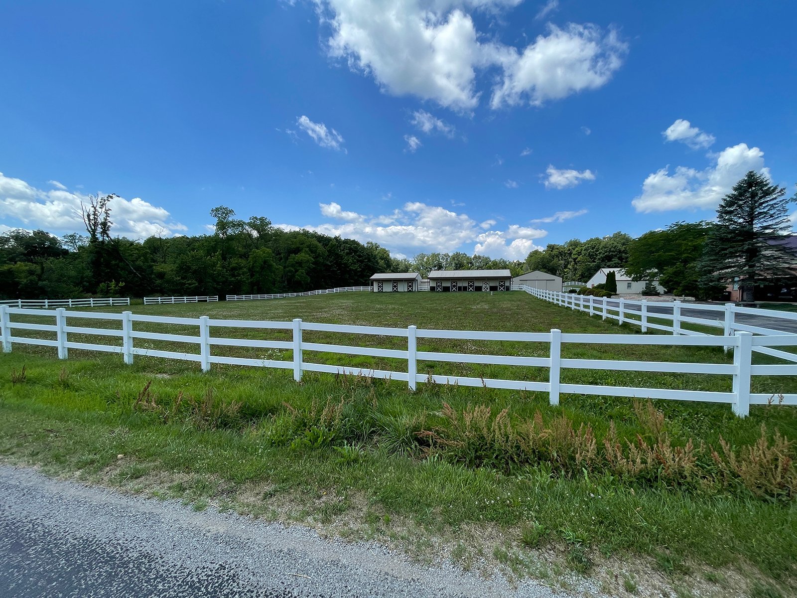 Property photo 16 - LIVE ONSITE REAL ESTATE AUCTION - 11.8+/- ACRES - NOBLE COUNTY, IN