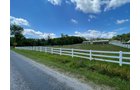 Property photo 17 - LIVE ONSITE REAL ESTATE AUCTION - 11.8+/- ACRES - NOBLE COUNTY, IN