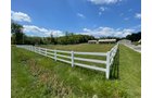 Property photo 20 - LIVE ONSITE REAL ESTATE AUCTION - 11.8+/- ACRES - NOBLE COUNTY, IN