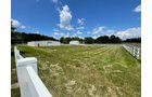 Property photo 27 - LIVE ONSITE REAL ESTATE AUCTION - 11.8+/- ACRES - NOBLE COUNTY, IN