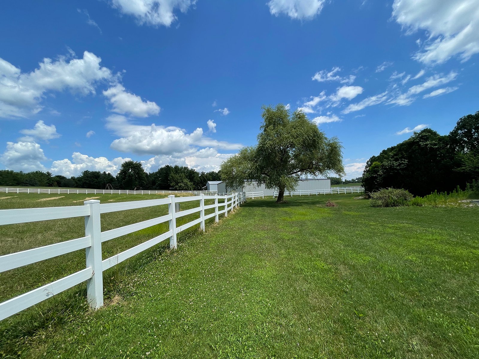 Property photo 36 - LIVE ONSITE REAL ESTATE AUCTION - 11.8+/- ACRES - NOBLE COUNTY, IN