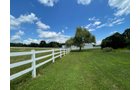 Property photo 36 - LIVE ONSITE REAL ESTATE AUCTION - 11.8+/- ACRES - NOBLE COUNTY, IN