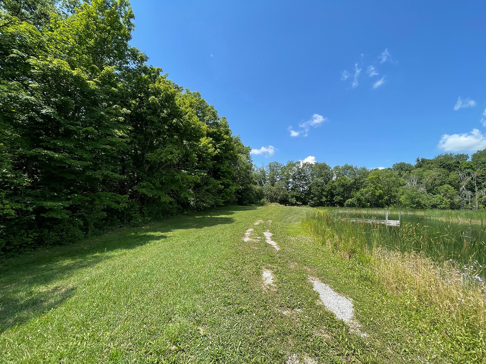 Property photo 41 - LIVE ONSITE REAL ESTATE AUCTION - 11.8+/- ACRES - NOBLE COUNTY, IN