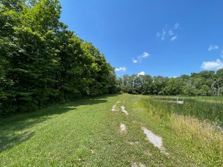 Property photo 41 - LIVE ONSITE REAL ESTATE AUCTION - 11.8+/- ACRES - NOBLE COUNTY, IN