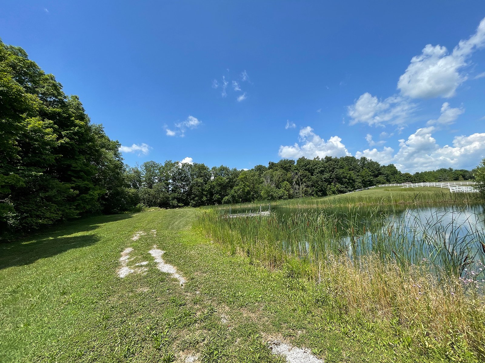 Property photo 42 - LIVE ONSITE REAL ESTATE AUCTION - 11.8+/- ACRES - NOBLE COUNTY, IN