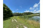 Property photo 42 - LIVE ONSITE REAL ESTATE AUCTION - 11.8+/- ACRES - NOBLE COUNTY, IN