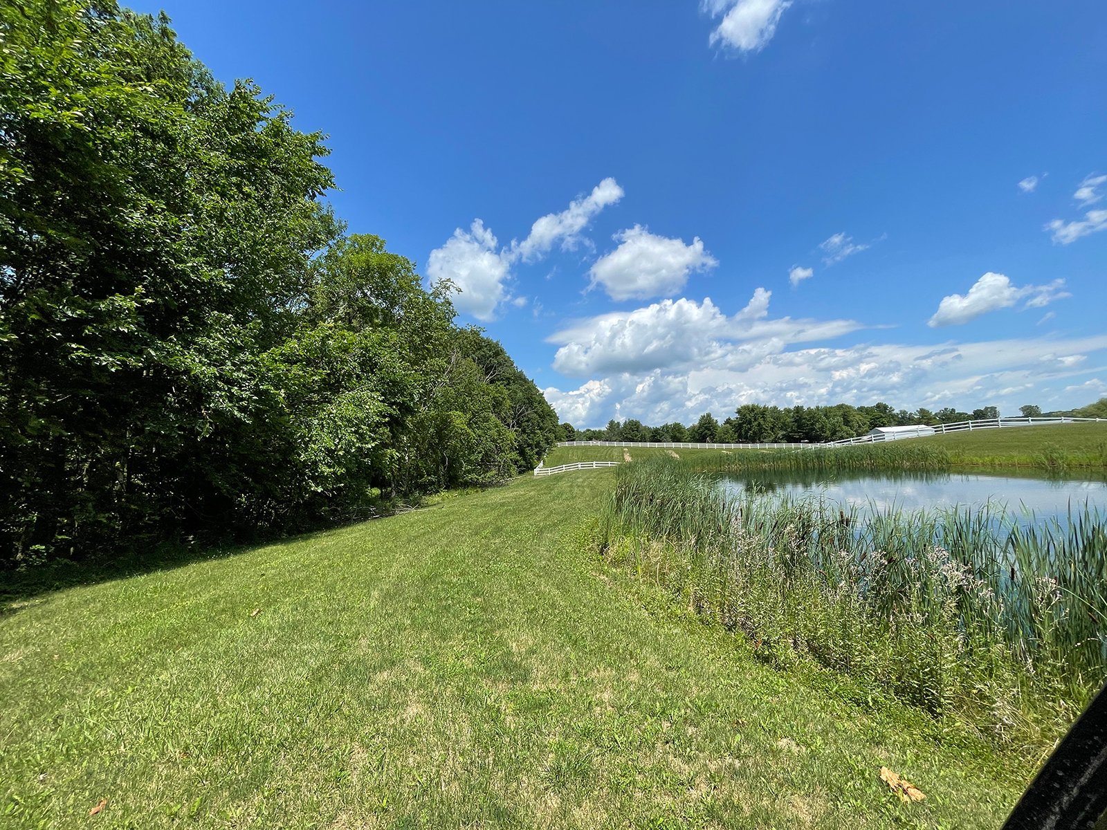 Property photo 43 - LIVE ONSITE REAL ESTATE AUCTION - 11.8+/- ACRES - NOBLE COUNTY, IN