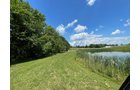 Property photo 43 - LIVE ONSITE REAL ESTATE AUCTION - 11.8+/- ACRES - NOBLE COUNTY, IN