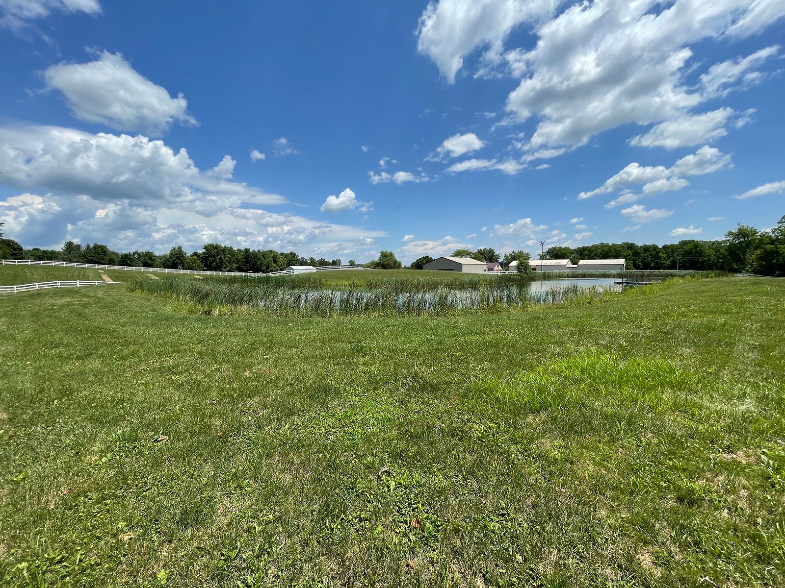 Property photo 44 - LIVE ONSITE REAL ESTATE AUCTION - 11.8+/- ACRES - NOBLE COUNTY, IN