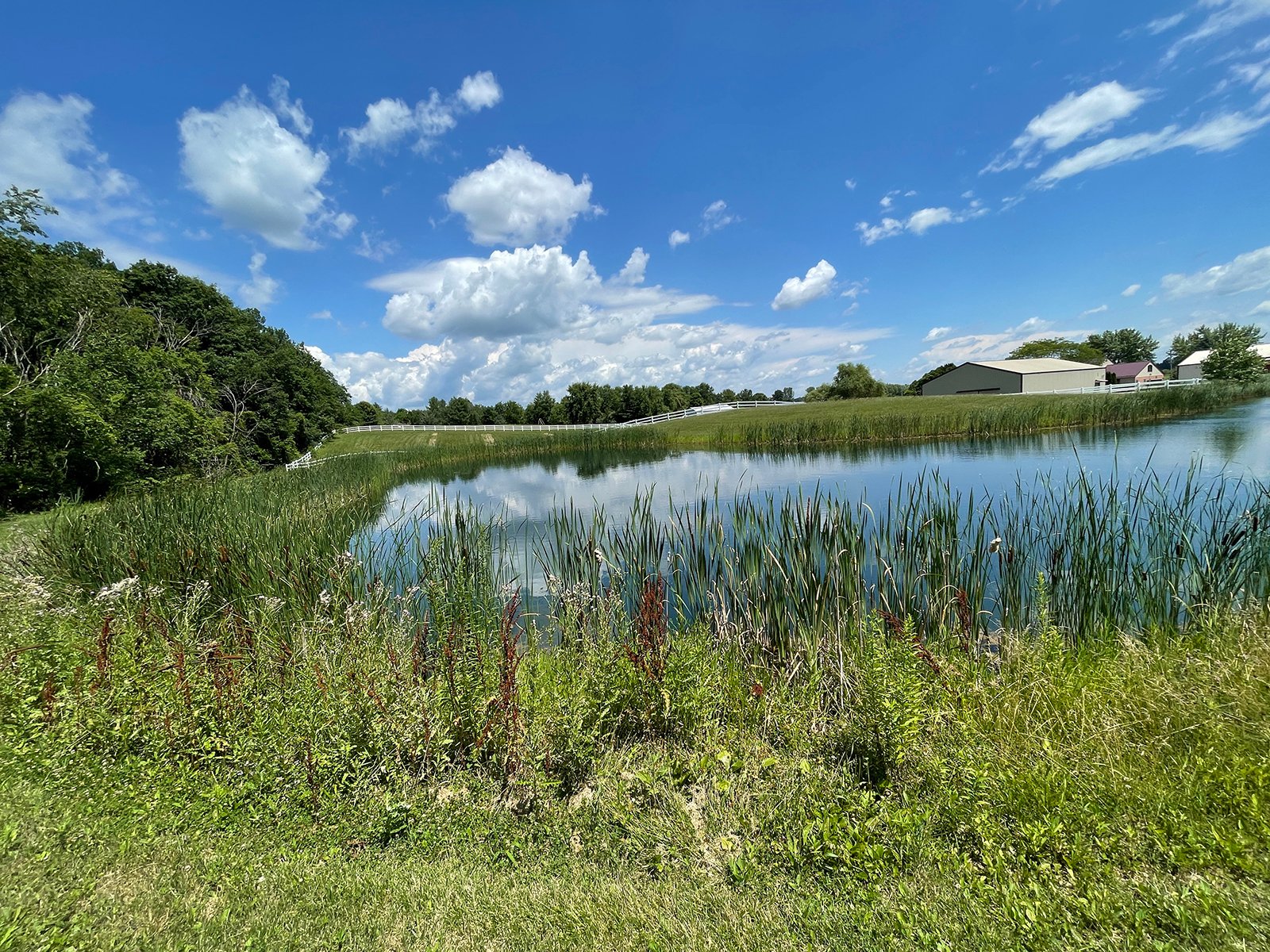 Property photo 46 - LIVE ONSITE REAL ESTATE AUCTION - 11.8+/- ACRES - NOBLE COUNTY, IN