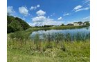 Property photo 46 - LIVE ONSITE REAL ESTATE AUCTION - 11.8+/- ACRES - NOBLE COUNTY, IN