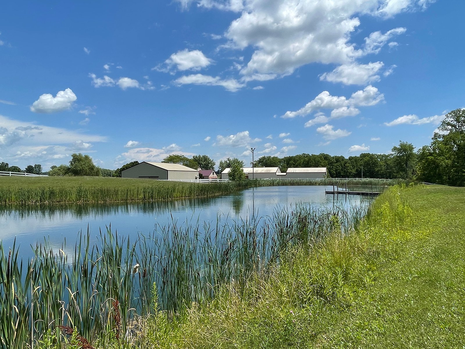 Property photo 47 - LIVE ONSITE REAL ESTATE AUCTION - 11.8+/- ACRES - NOBLE COUNTY, IN