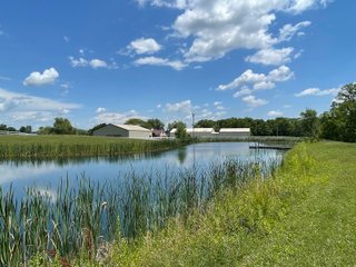 Property photo 47 - LIVE ONSITE REAL ESTATE AUCTION - 11.8+/- ACRES - NOBLE COUNTY, IN