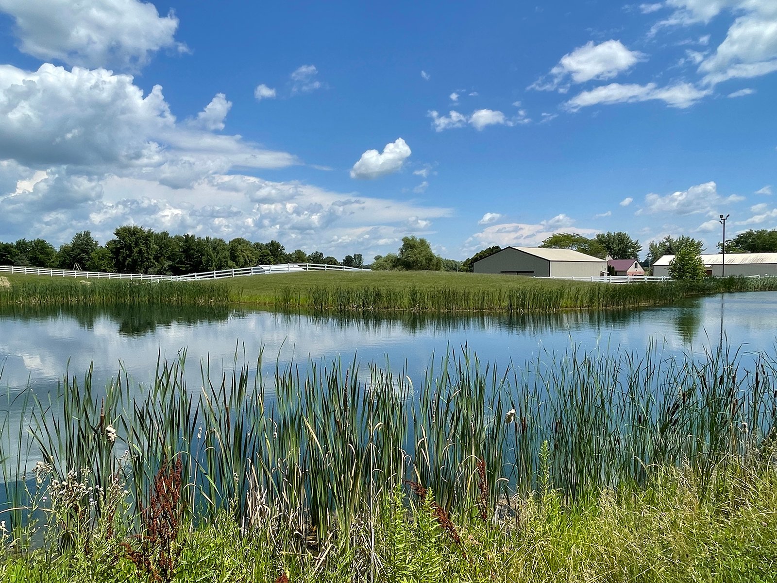 Property photo 48 - LIVE ONSITE REAL ESTATE AUCTION - 11.8+/- ACRES - NOBLE COUNTY, IN