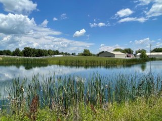 Property photo 48 - LIVE ONSITE REAL ESTATE AUCTION - 11.8+/- ACRES - NOBLE COUNTY, IN