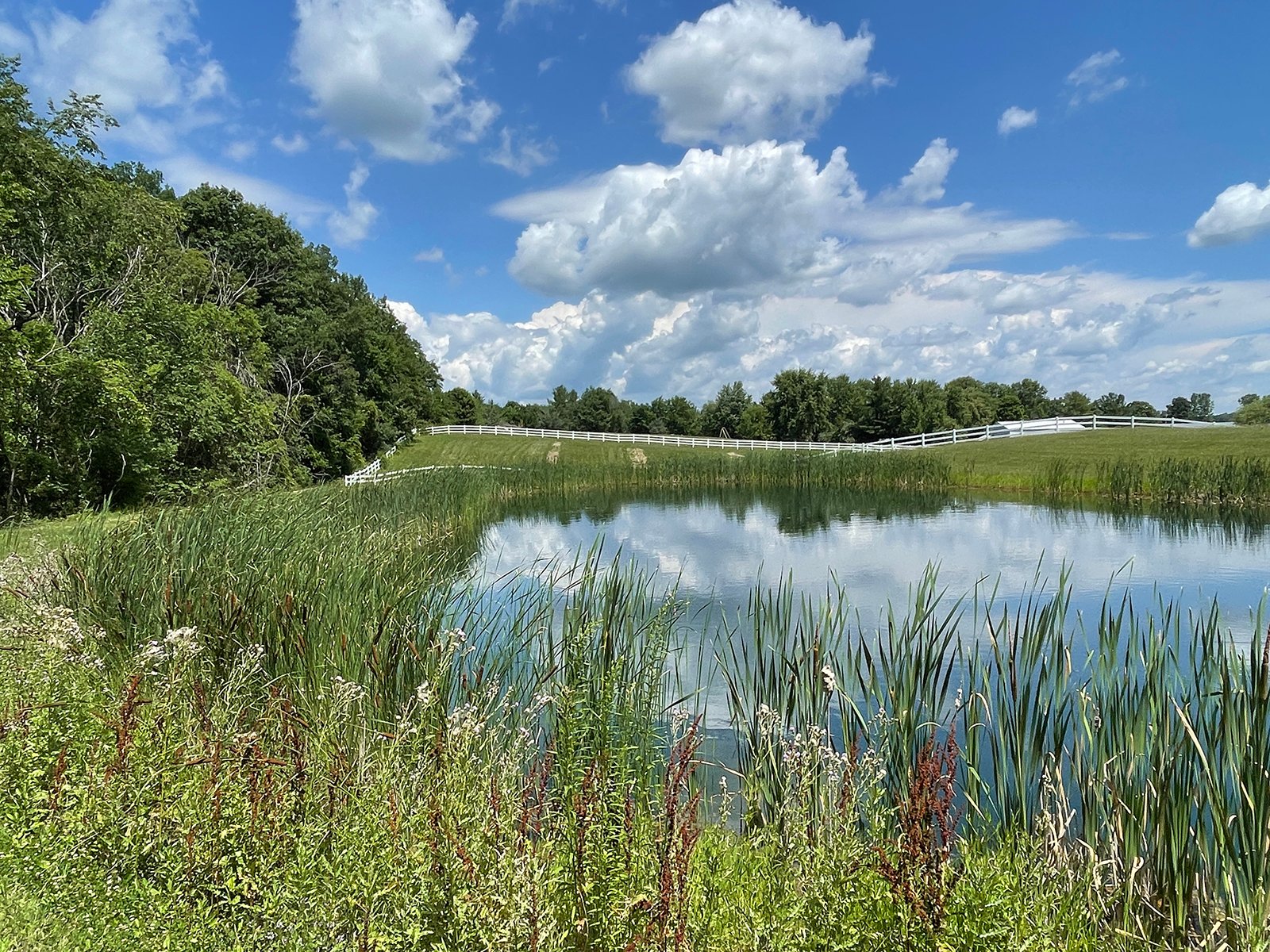 Property photo 49 - LIVE ONSITE REAL ESTATE AUCTION - 11.8+/- ACRES - NOBLE COUNTY, IN